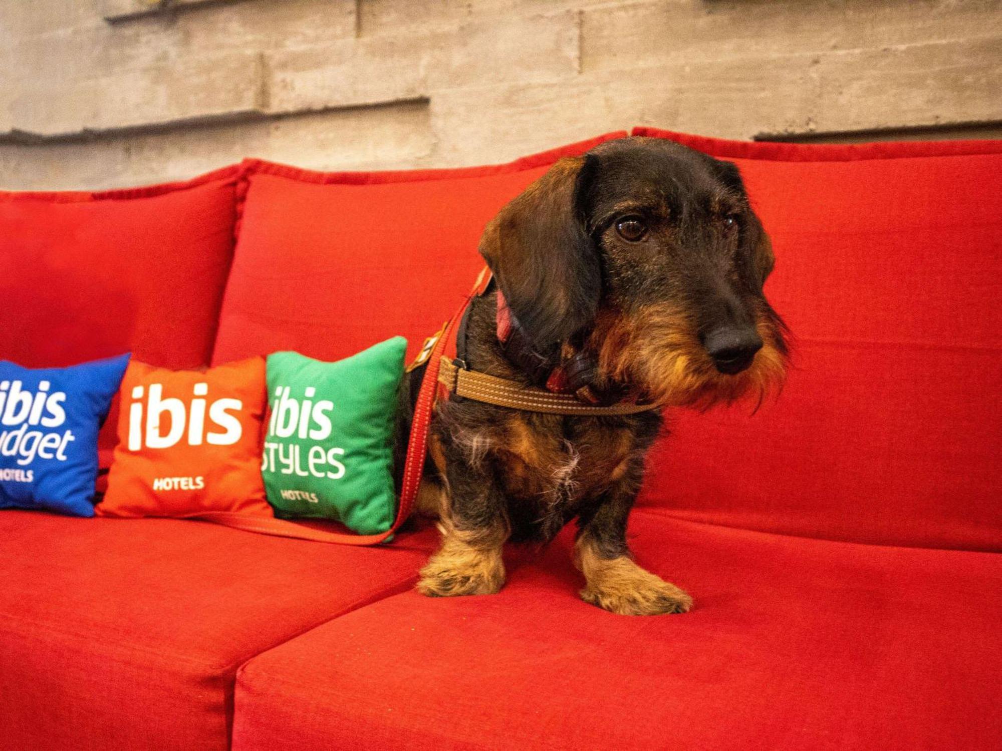 Ibis Mérida Zewnętrze zdjęcie